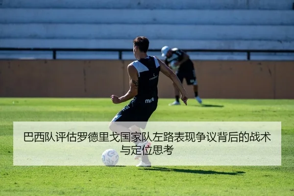 巴西队评估罗德里戈国家队左路表现争议背后的战术与定位思考（kaiyun）